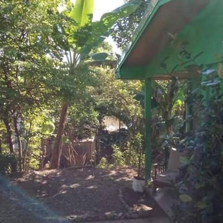 Casa Flor De Annia ~ Cozy 2 Bdrm On The River Sierpe ~ Walkable To Town Villa Buitenkant foto