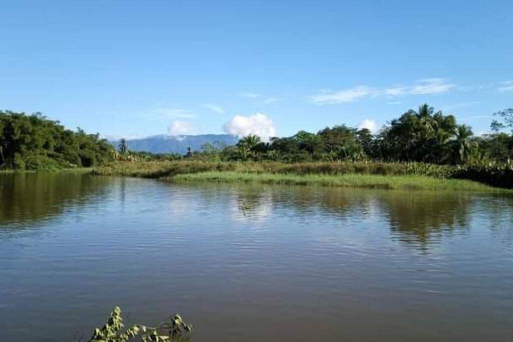 Casa Flor De Annia ~ Cozy 2 Bdrm On The River Sierpe ~ Walkable To Town Villa Buitenkant foto