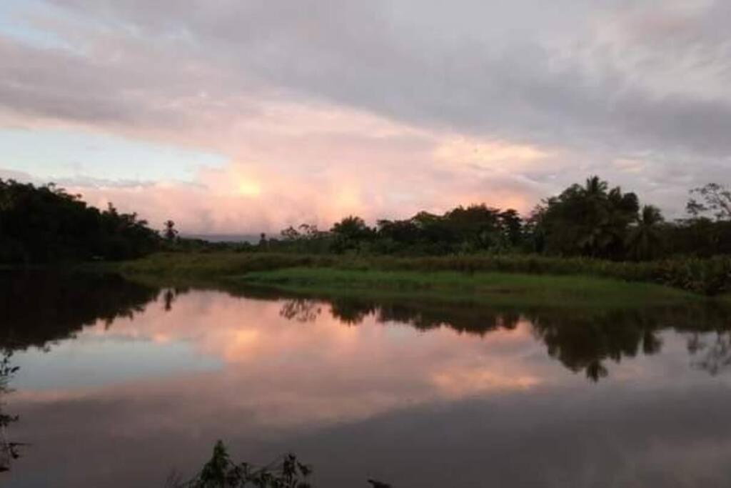 Casa Flor De Annia ~ Cozy 2 Bdrm On The River Sierpe ~ Walkable To Town Villa Buitenkant foto