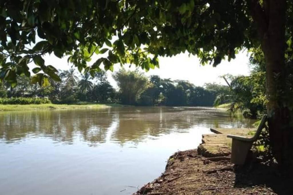 Casa Flor De Annia ~ Cozy 2 Bdrm On The River Sierpe ~ Walkable To Town Villa Buitenkant foto