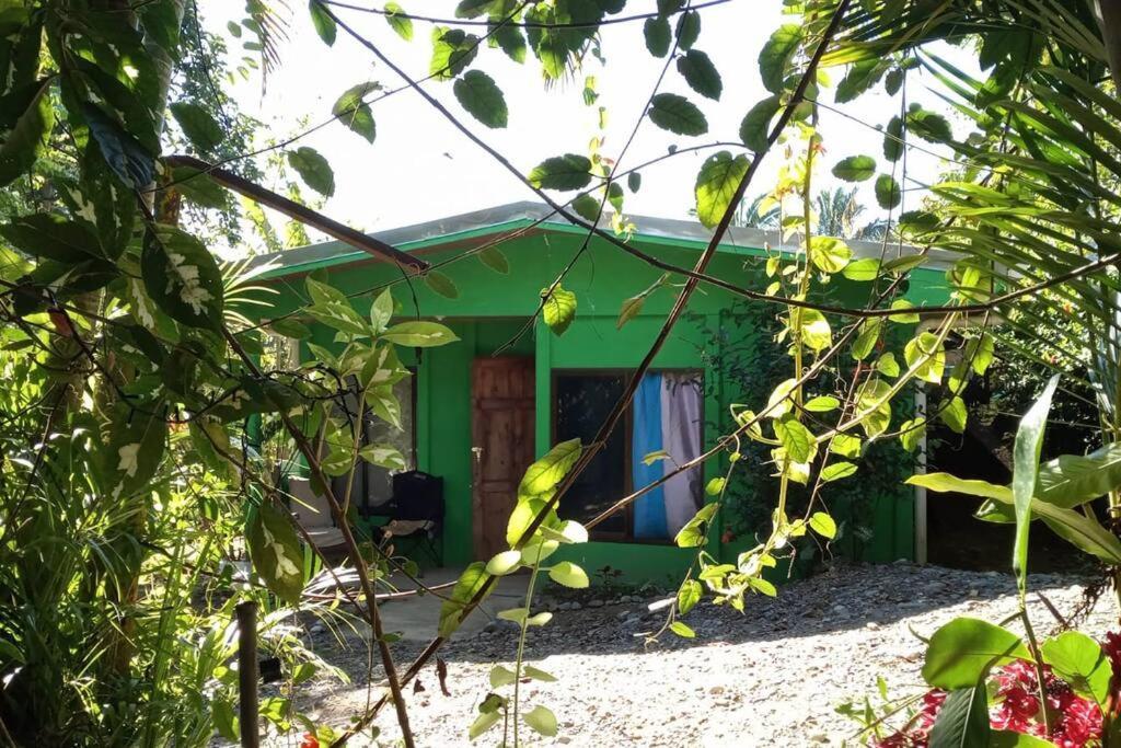 Casa Flor De Annia ~ Cozy 2 Bdrm On The River Sierpe ~ Walkable To Town Villa Buitenkant foto