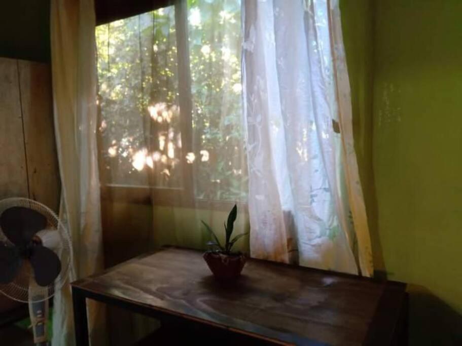 Casa Flor De Annia ~ Cozy 2 Bdrm On The River Sierpe ~ Walkable To Town Villa Buitenkant foto
