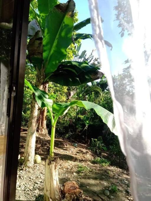 Casa Flor De Annia ~ Cozy 2 Bdrm On The River Sierpe ~ Walkable To Town Villa Buitenkant foto