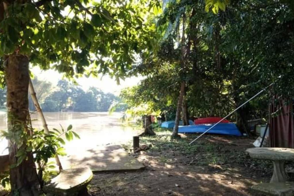Casa Flor De Annia ~ Cozy 2 Bdrm On The River Sierpe ~ Walkable To Town Villa Buitenkant foto